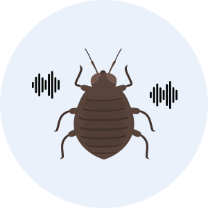 초음파 및 램프 해충퇴치기